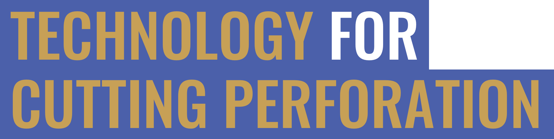 TECHNOLOGY FOR CUTTING PERFORATION